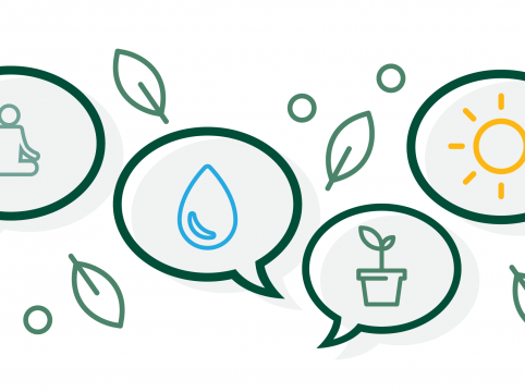 استراتيجيات ضمان استمرارية المنظمة غير الربحية