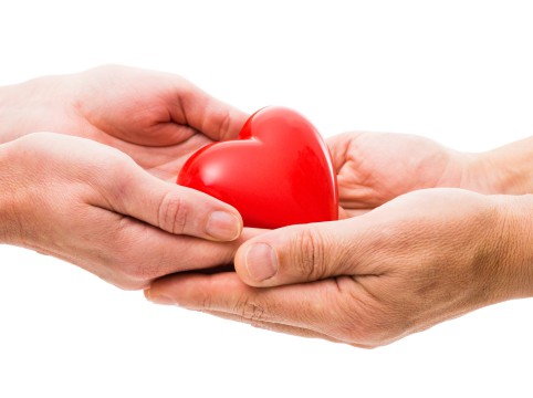 كيف تنشئ وقف؟