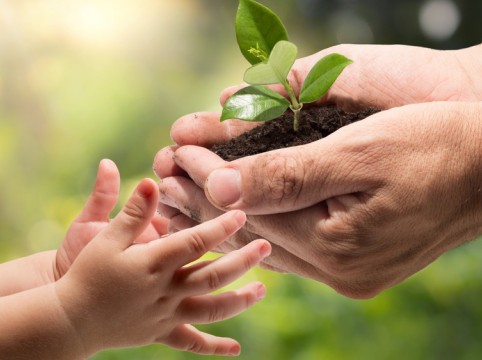 انعكاسات الأوقاف الإيجابية على المنظمات غير الربحية