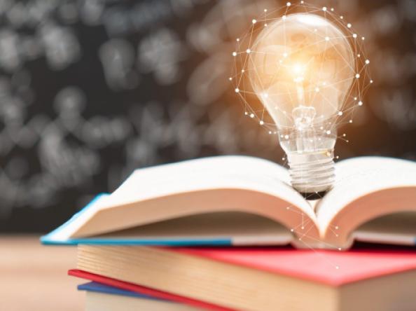 الإدارة التعاونية في التعليم والتدريب غير الربحي: نموذج جديد للشراكة الفاعلة