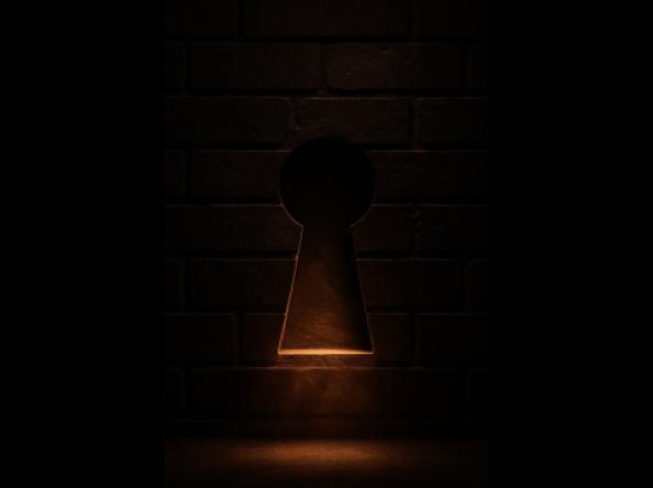 هل تطمح إلى قيادة منظمة غير ربحية كمدير تنفيذي؟