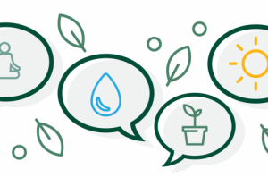 استراتيجيات ضمان استمرارية المنظمة غير الربحية