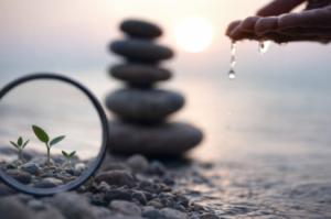 دور معادلة «المعرفة، الألفة، والثقة» في بناء التفاعل المجتمعي