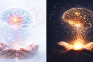 هدية واحدة… ومصنع داخلي من المعاني: ما تكشفه خرائط الدماغ عن سرّ العطاء الحقيقي