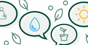 استراتيجيات ضمان استمرارية المنظمة غير الربحية