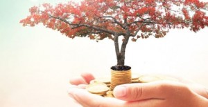 هكذا ننضج المشاريع الخيرية