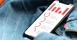 مؤشرات الاستدامة المالية