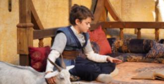 صندوق البيئة بين 